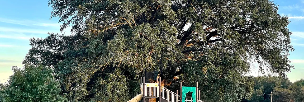 Rolling by the Dozen Playground Rolling by the Dozen RV Park near College Station, Texas has a park playground for guests.