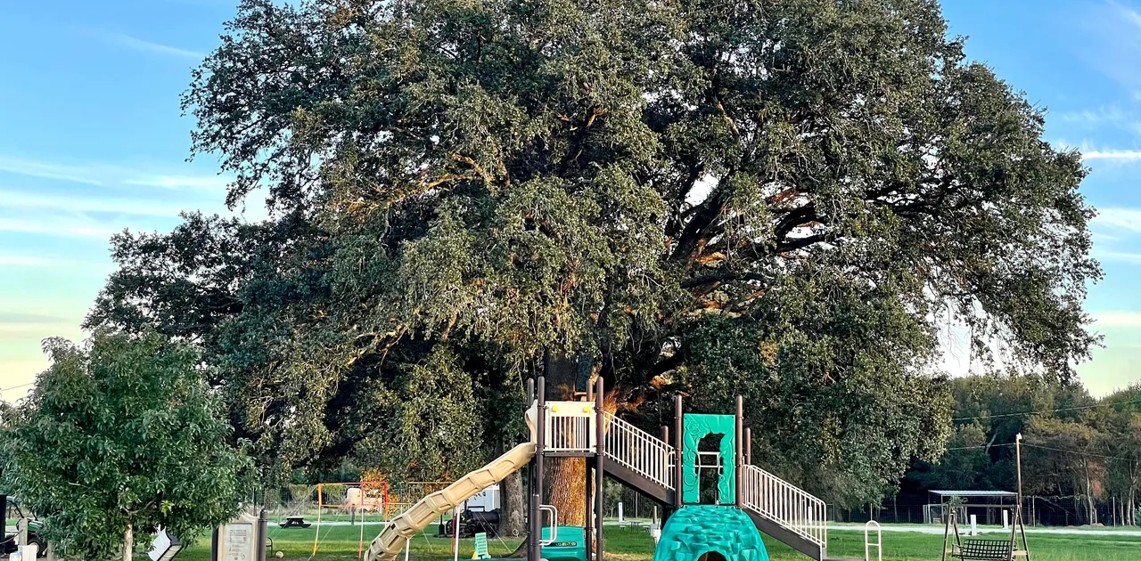 Rolling by the Dozen RV Park near College Station, Texas has a park playground for guests.